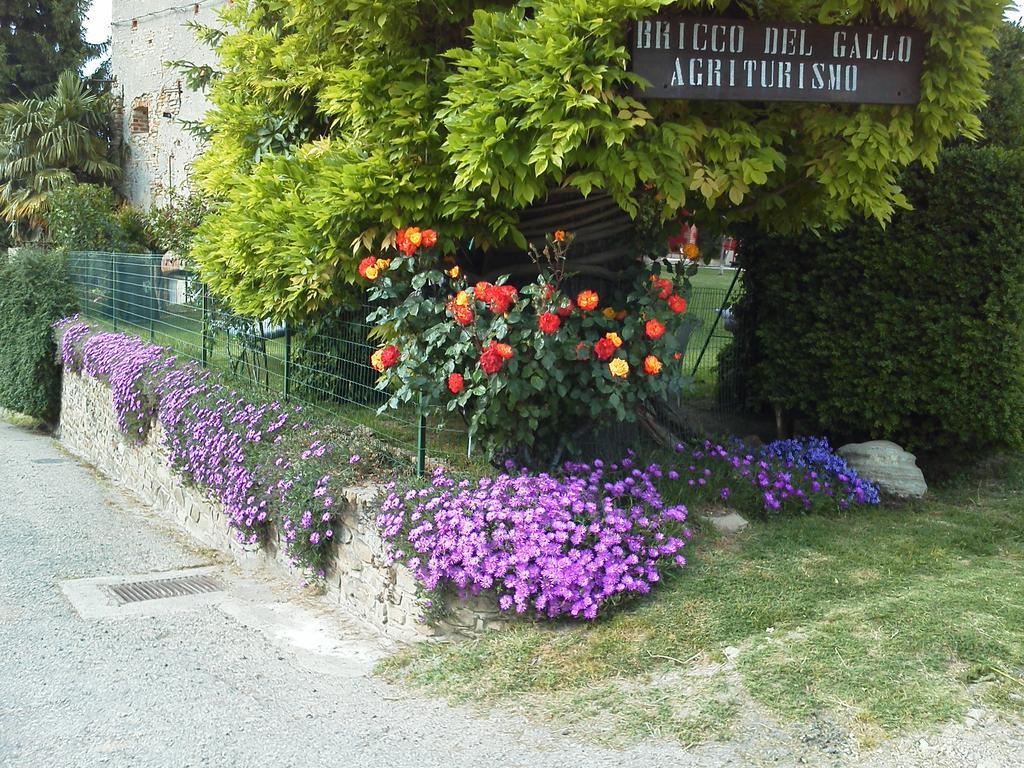 Bricco Del Gallo Sinio Exterior photo
